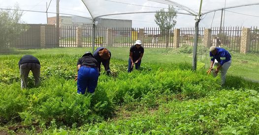 271594663_2236964999786056_8178945913912436525_n