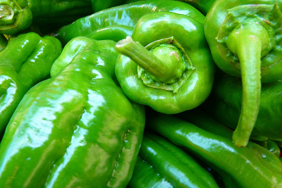 pexels-pixabay-876261